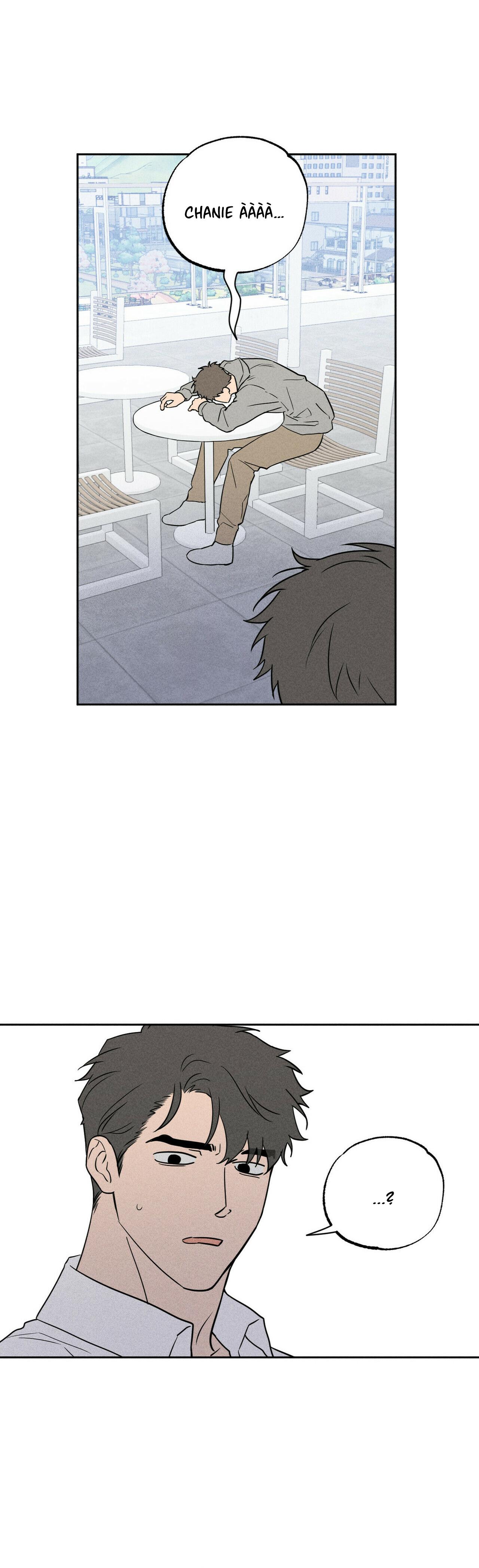 bản báo cáo người yêu cũ chapter 1 8