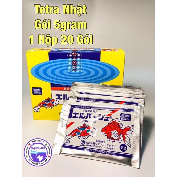 TETRA NHẬT -THUỐC TRỊ NẤM VÀ DƯỠNG CÁ CẢNH.
