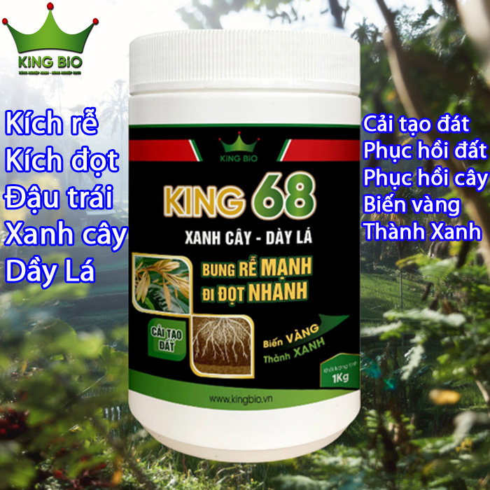 King 68 - Thuốc siêu kích rễ mạnh, ra đọt nhanh, xanh cây dầy lá, cải tạo đất, phục hồi cây bệnh, hồi sinh đất