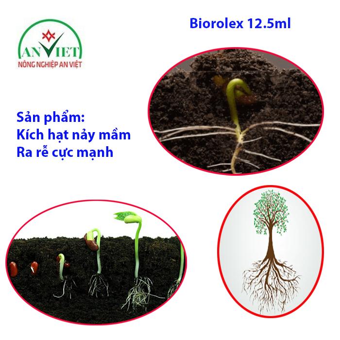 Kích hạt nảy mầm cây non ra rễ Biorolex 12.5ml, kích hạt nảy mầm, kích rễ cực mạnh hạn chế vàng lá, sâu bệnh