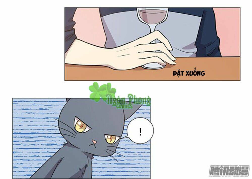 hai chú mèo totem chapter 37 18