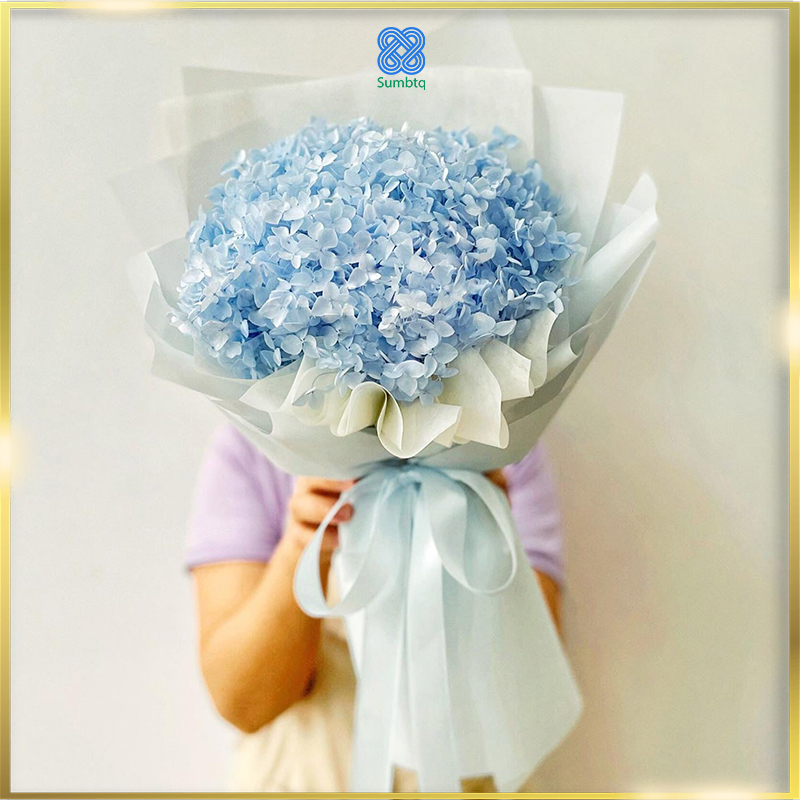 Hoa cẩm tú cầu  màu xanh dương