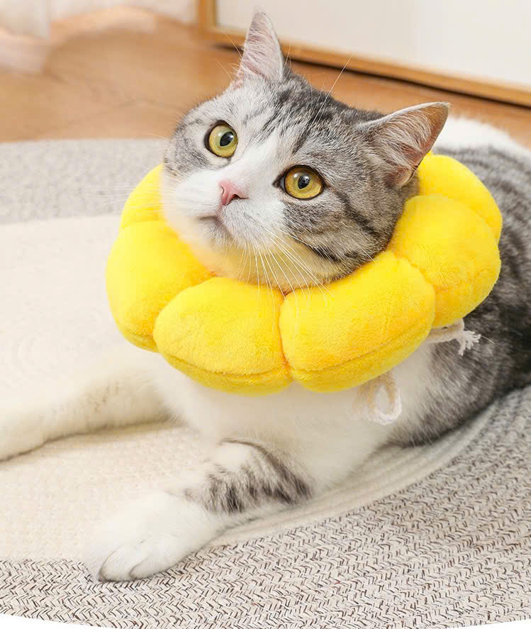 VÒNG CỔ THÚ CƯNG VÒNG CỔ LOA CHỐNG LIẾM CHO THỎ CHÓ MÈO BÔNG HOA DỄ THƯƠNG TỪ 0.5-5.5KG MÃ 10 CHO CHÓ MÈO THỎ