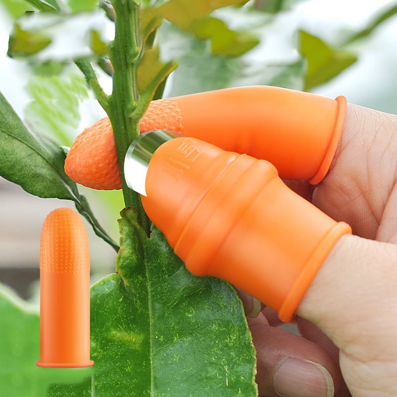 Móng Tay/ Găng Tay Nhặt Rau, Hái Rau Củ Siêu Tiện Lợi