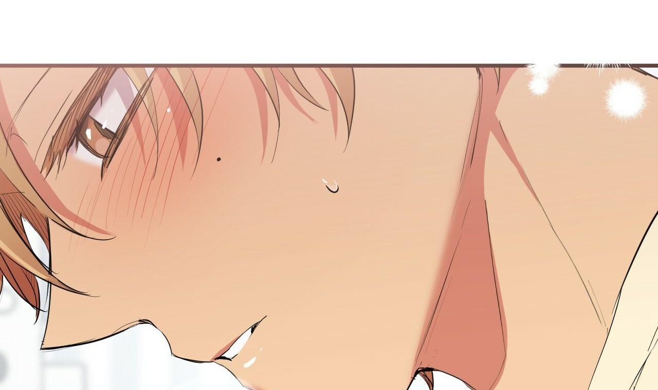 đàn thỏ của habibi chapter 38 35