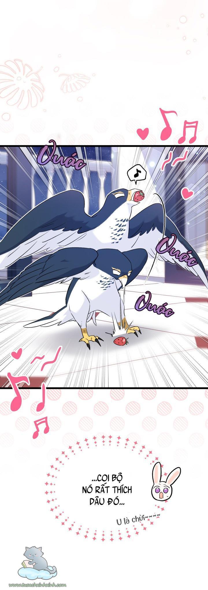 quan hệ cộng sinh giữa báo đen và thỏ trắng chapter 57 10