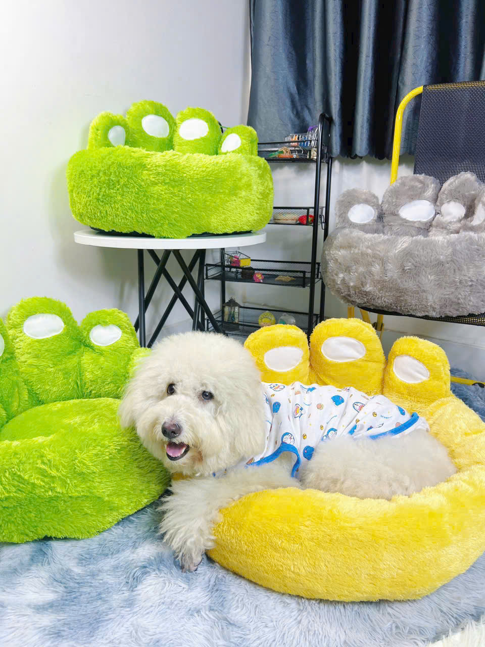 NỆM CHÂN CHÓ DƯỚI 12KG DÀNH CHO THÚ CƯNG CHÓ MÈO