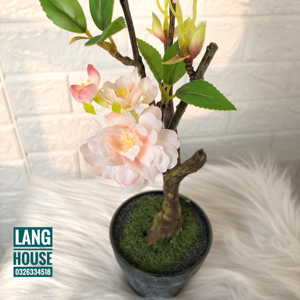 Hoa Giả Hoa Lụa - CHẬU HOA ĐÀO GIẢ CAO 40CM