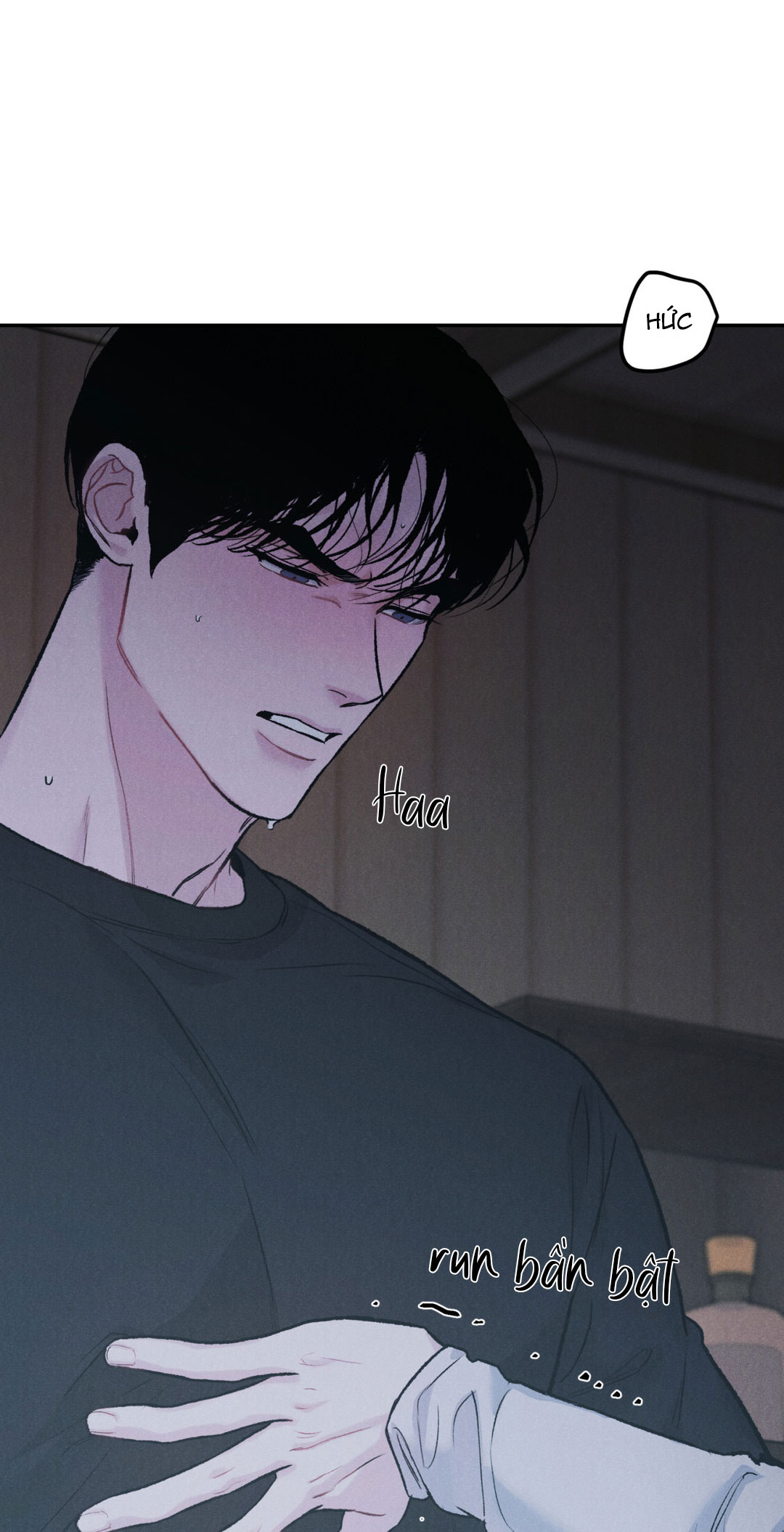 limited run chapter 28 46