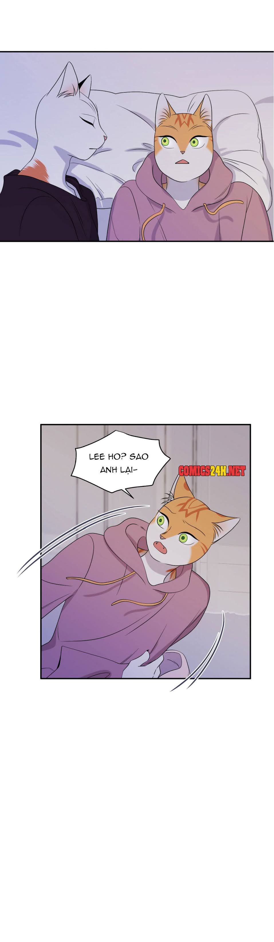 dự án xanh chapter 14 18