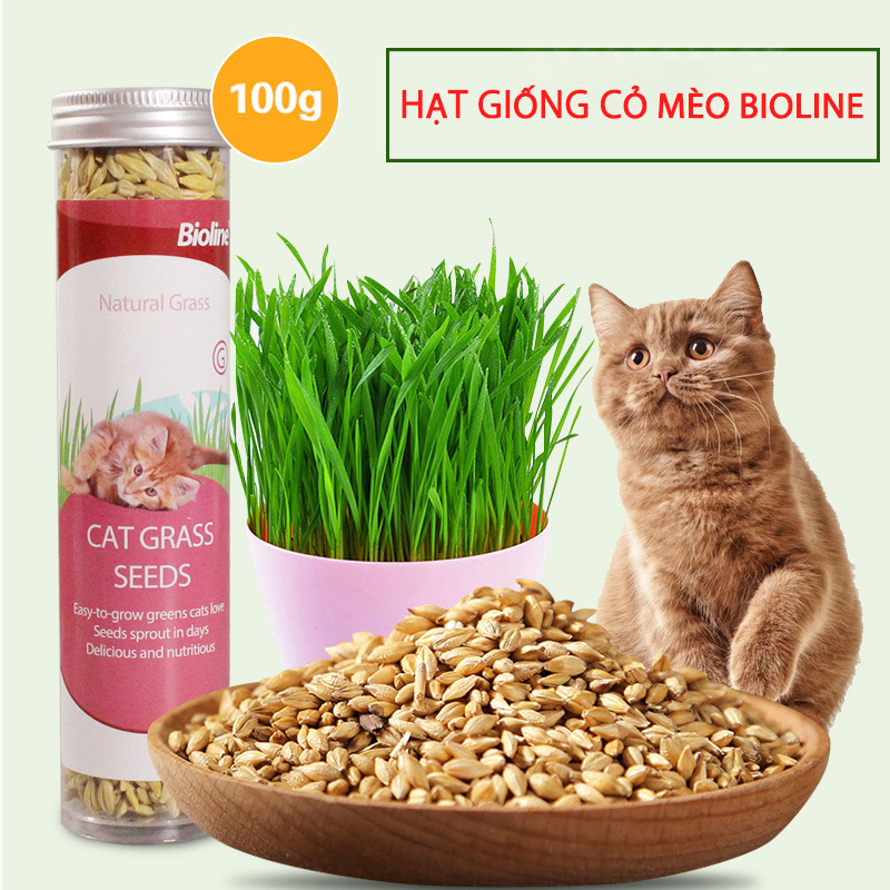 Hạt Giống Cỏ Mèo Tươi Cho Mèo Cat Grass Seeds Bioline 100g - YonaPetshop