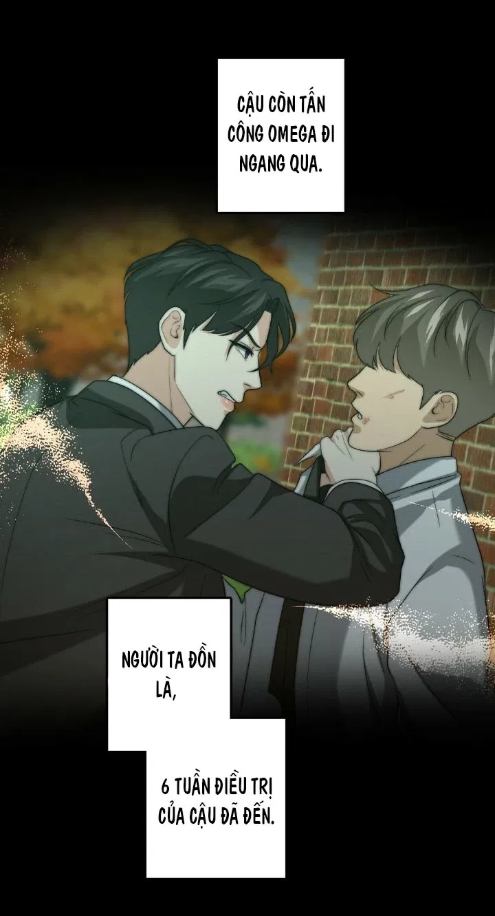 bí mật của omega k chapter 19 52