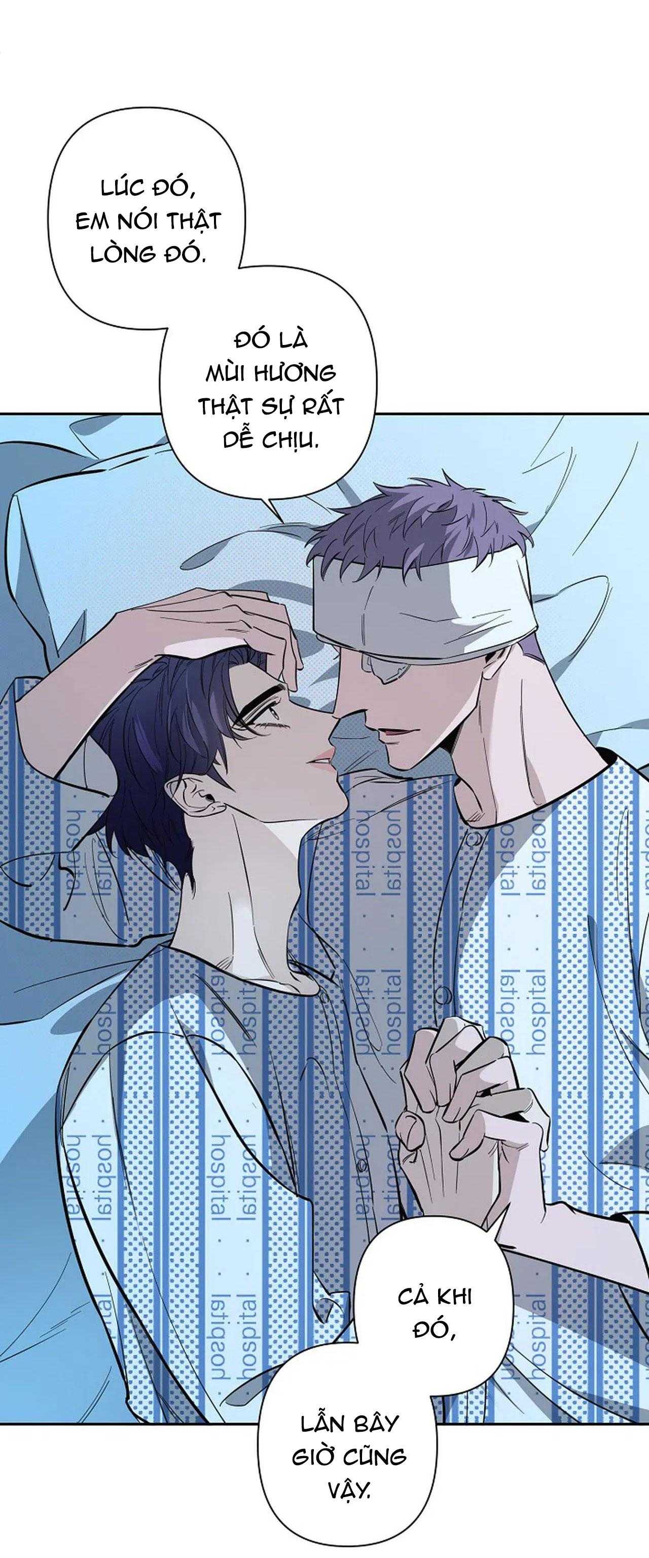 đêm dịu dàng chapter 71 12