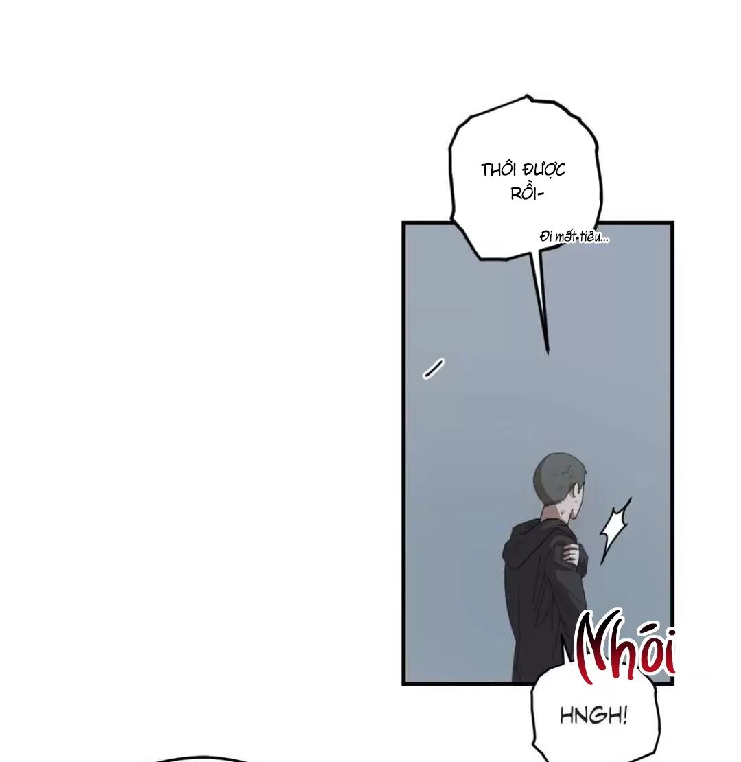 liveta chapter 28 45