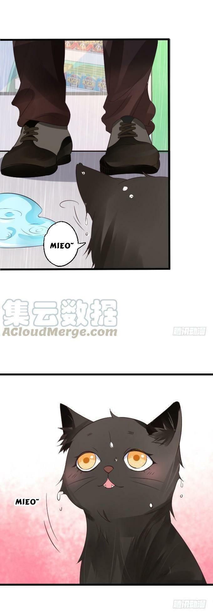 hồ tiên hung bạo chapter 36 27