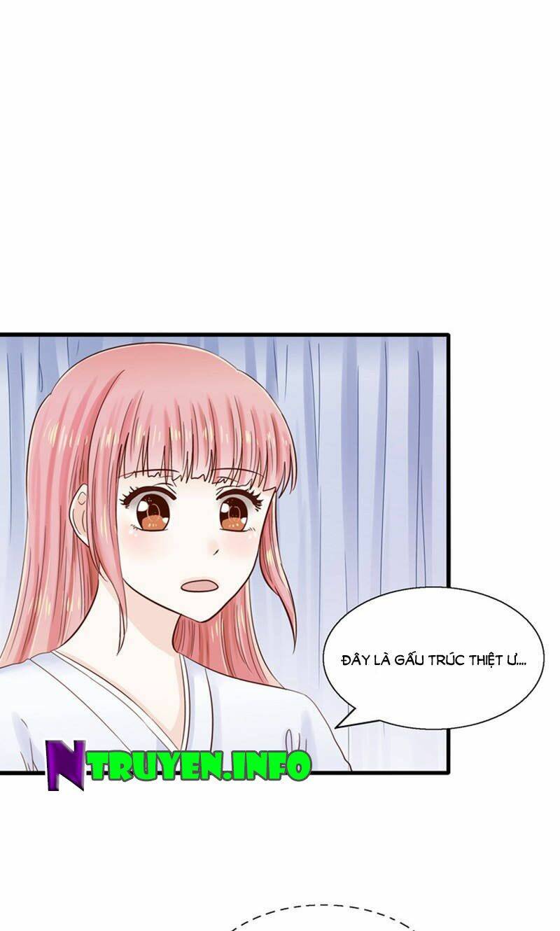 tôi bị gấu trúc nhìn trúng rồi chapter 14 8