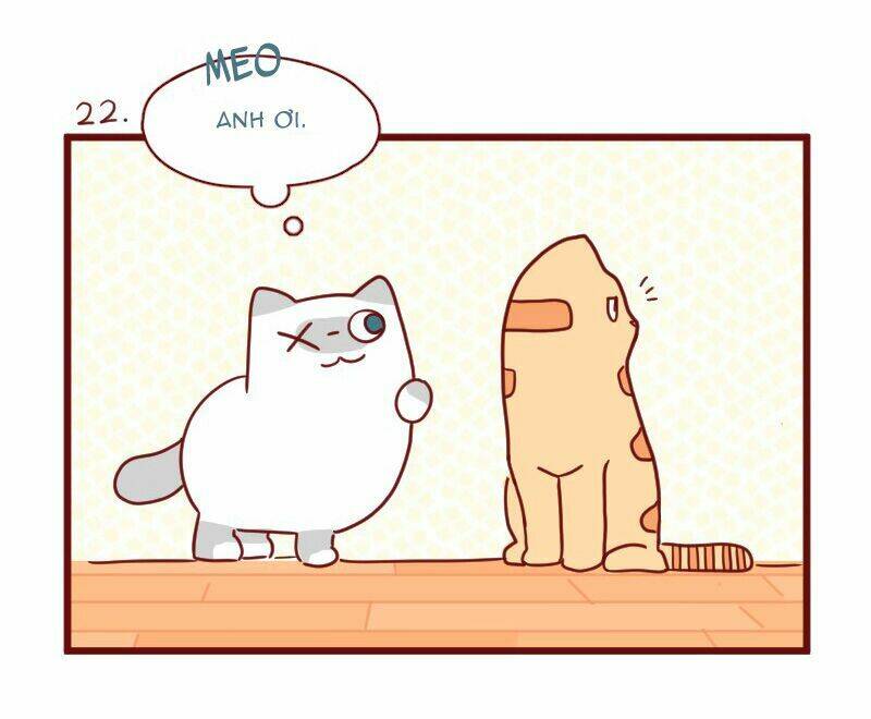 saphie: chú mèo một mắt chapter 22 2