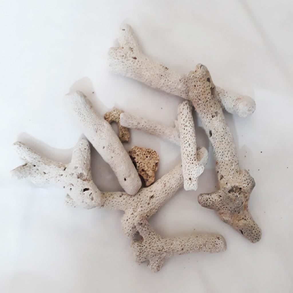 San Hô Lọc Hồ Cá 1kg  - San Hô Bể Cá