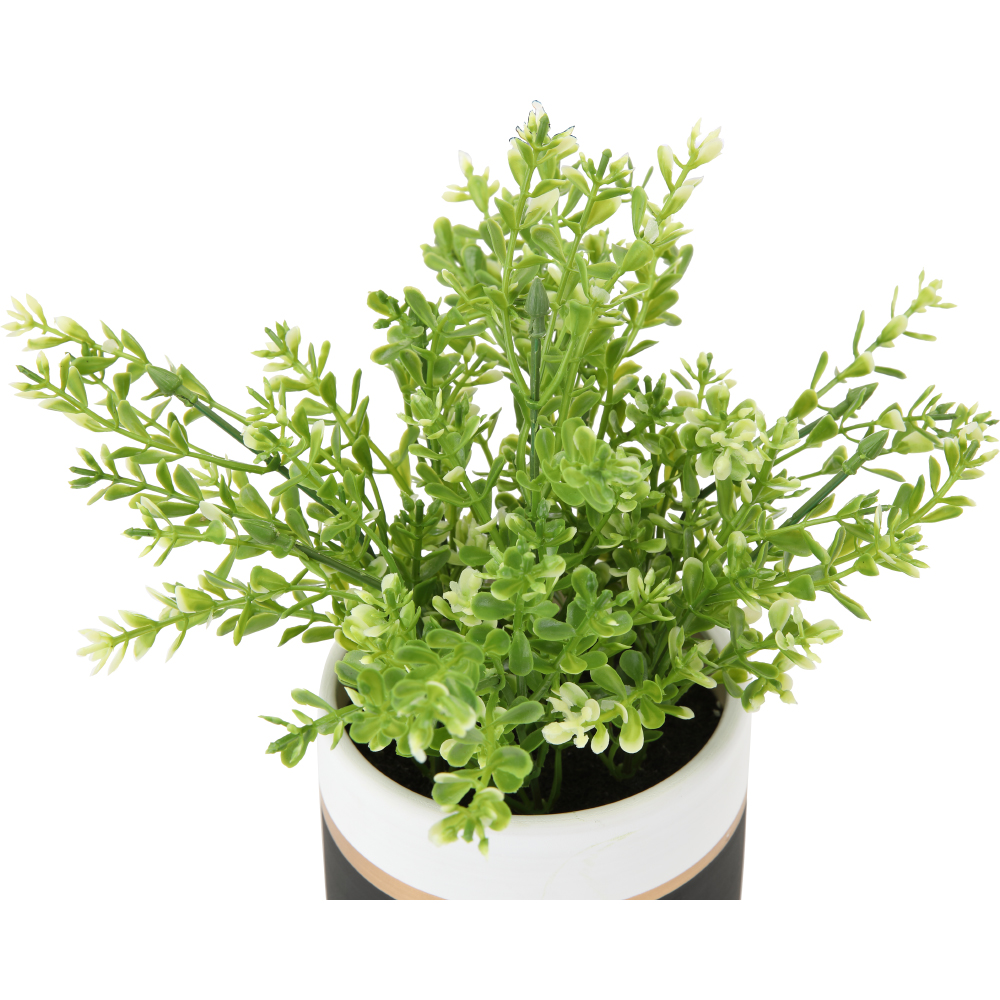Chậu cây hoa giả trang trí PITO chậu đen viền trắng hình trụ tròn, cây nhựa cao cấp màu sắc và thiết kế sống động, kích thước 18x21cm  | Index Living Mall - Phân phối độc quyền tại Việt Nam