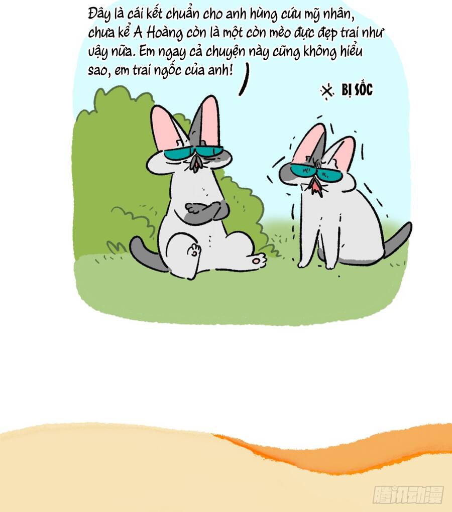 a mãn và mạch trà chapter 171 9