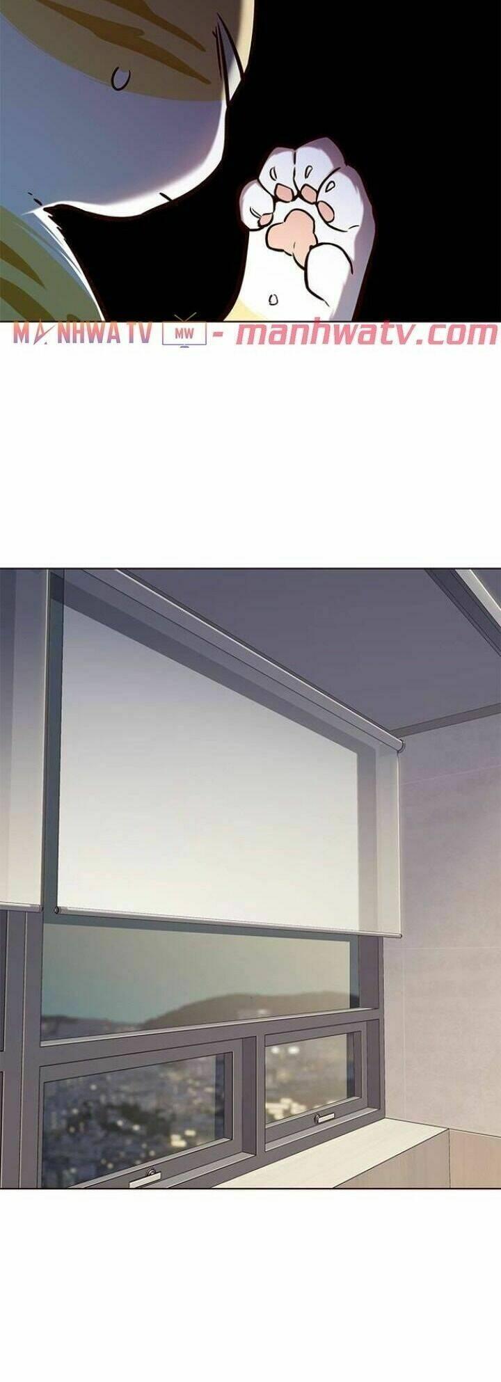 biến thân thành mèo chapter 113 45