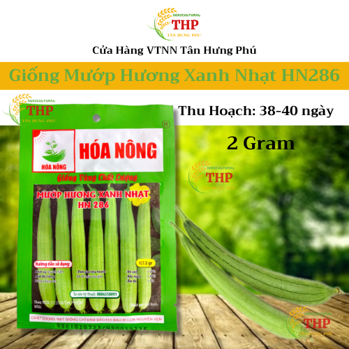 Hạt giống Mướp Hương Xanh Nhạt HN286 | Hạt Giống | gói 2gr