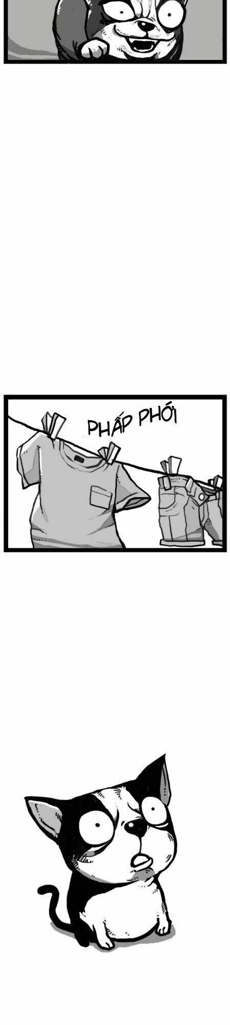 earth, human, and animal chapter 21 13