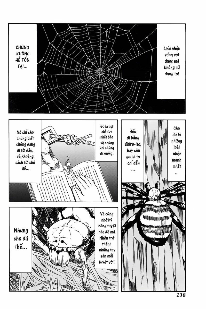 arachnid chapter 4 10