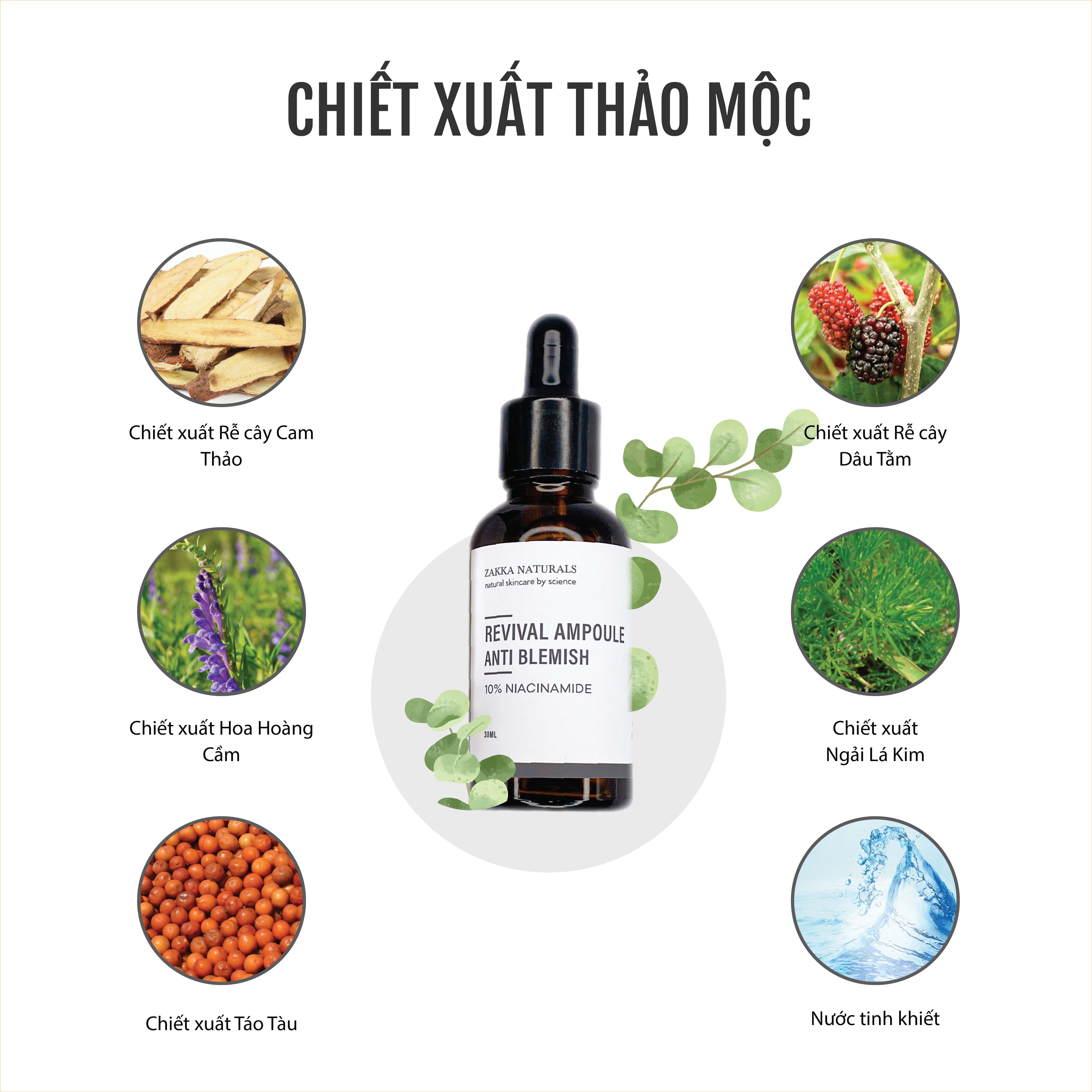 Serum Niacinamide Trắng Da, Giảm Thâm Mụn, Giảm Mụn, Cấp Nước, Giữ Ẩm, Chống Lão Hóa Phục Hồi Da Revival Ampoule Anti Blemish With 10% Niacinamide 30ml - Zakka Naturals