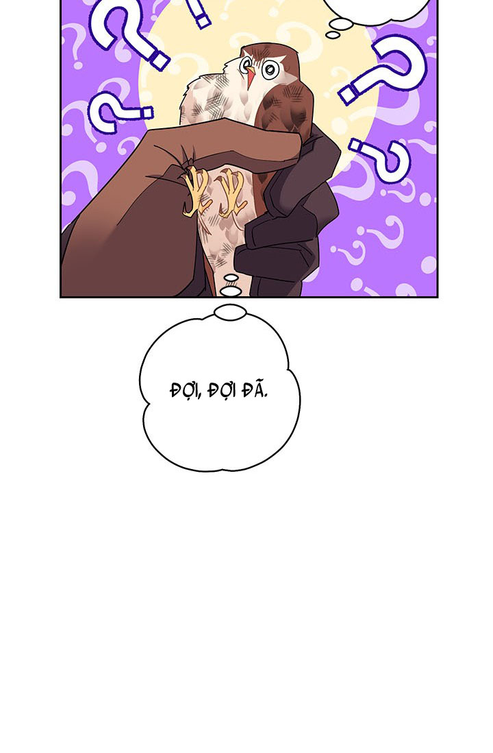 công chúa của loài chim chapter 7 67