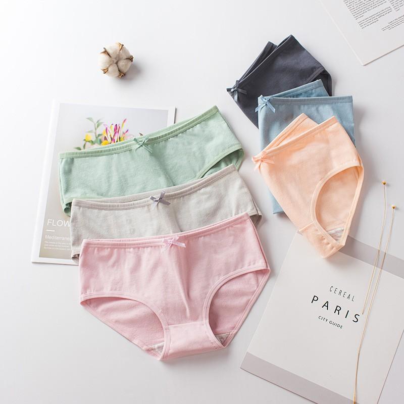 Quần Lót Cotton Basic Cạp Nơ QL31