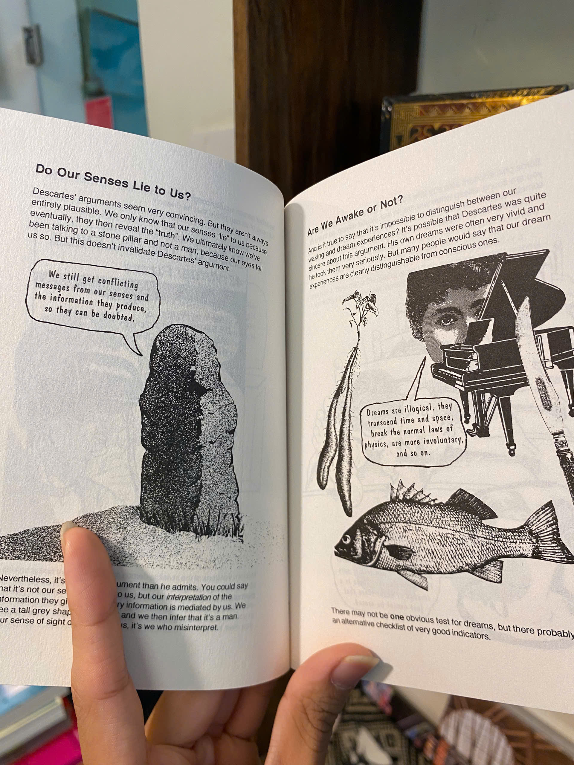 Sách - Introducing Descartes: A Graphic Guide by Dave Robinson | Philosophy Nonfiction in English
