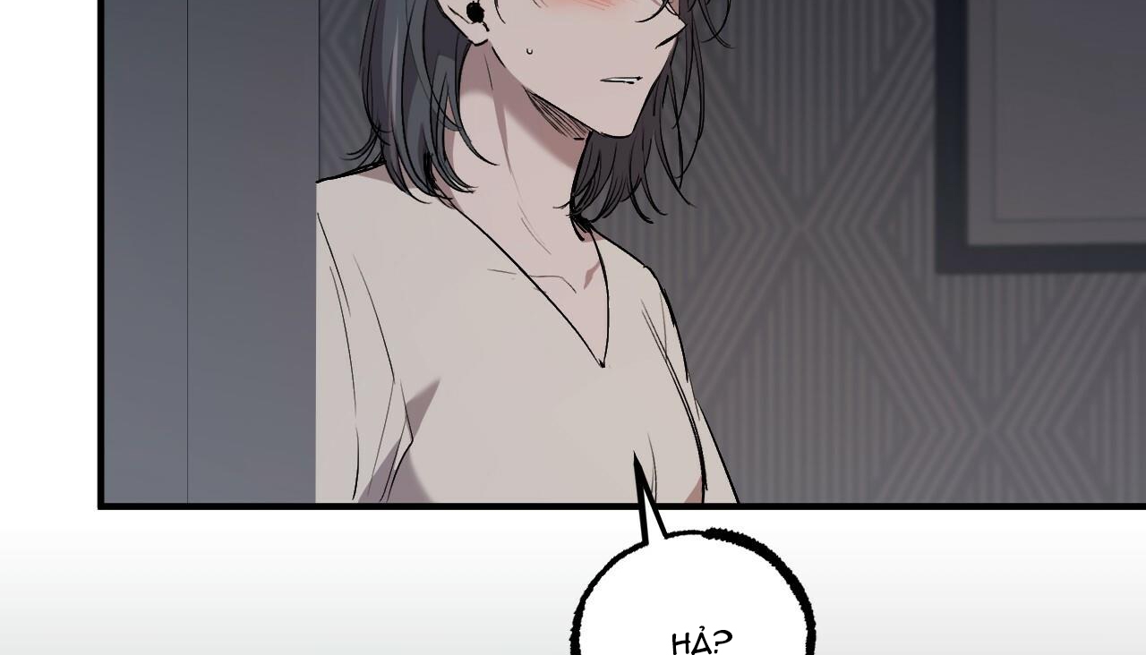 đàn thỏ của habibi chapter 47 225