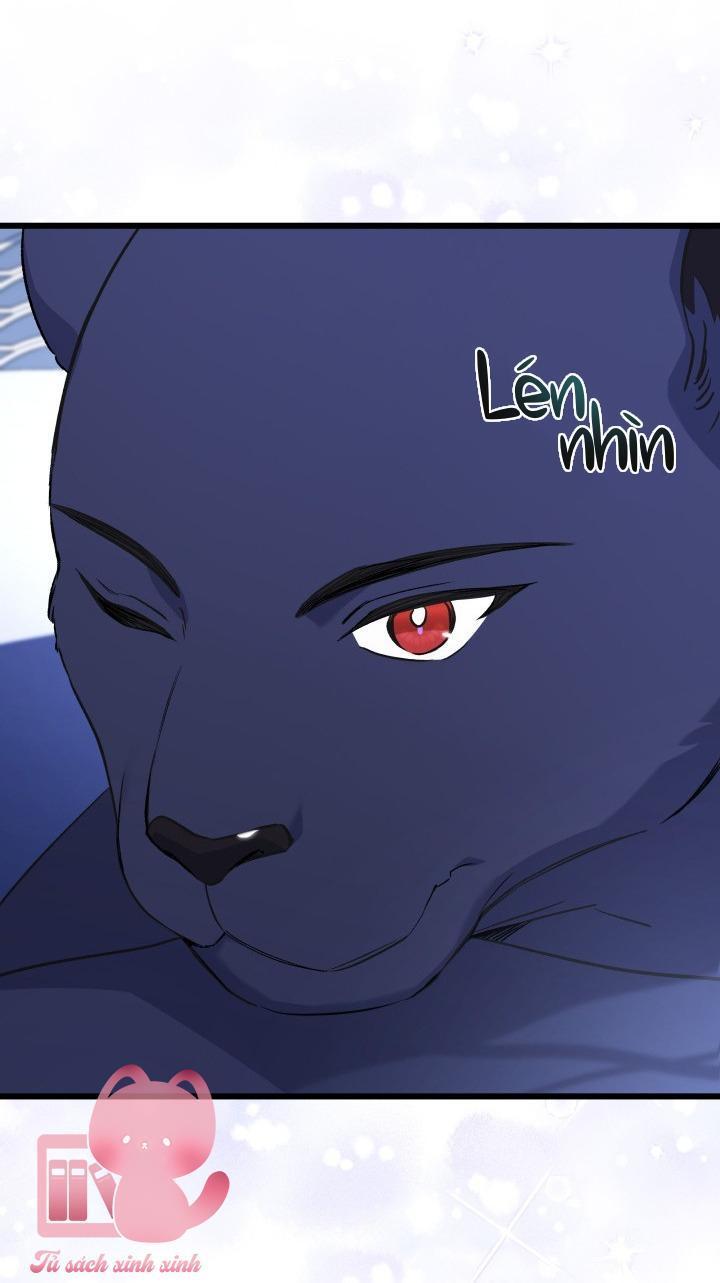 quan hệ cộng sinh giữa báo đen và thỏ trắng chapter 92 15