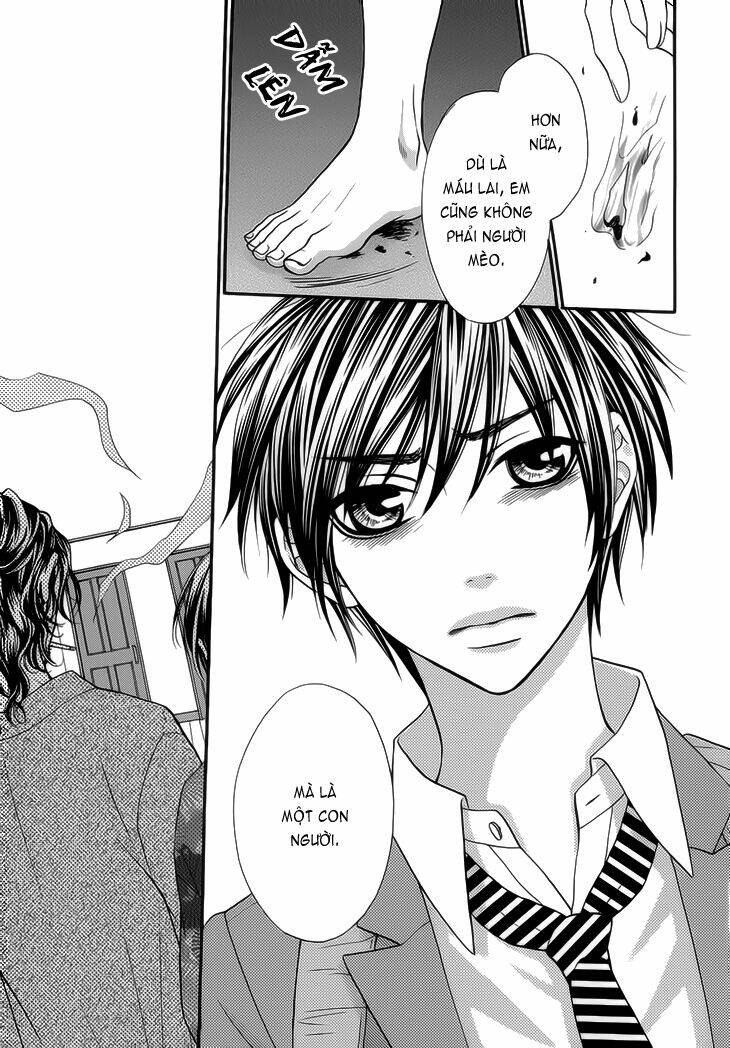 nekoka danshi no shitsukekata chapter 8 16