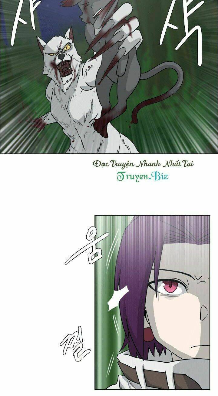 m. m. g. chapter 12 8