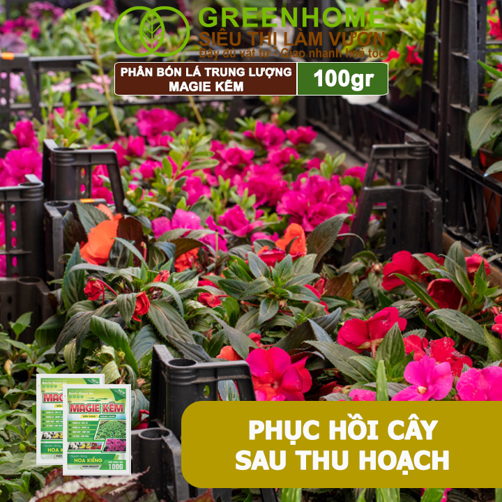 Phân Bón Lá Magie Kẽm, GreenHome, Gói 100GR, Chuyên Dùng Cho Hoa Kiểng