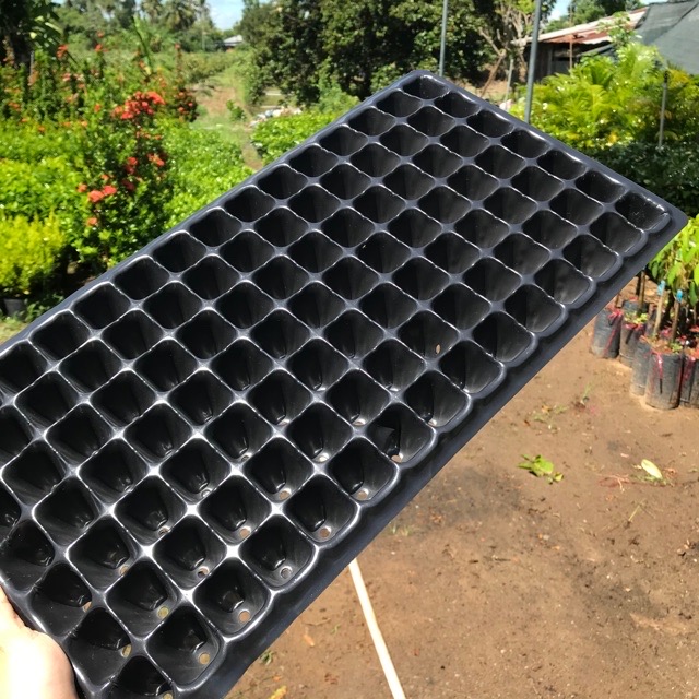 Khay ươm hạt 105 lỗ loai dày 145gr
