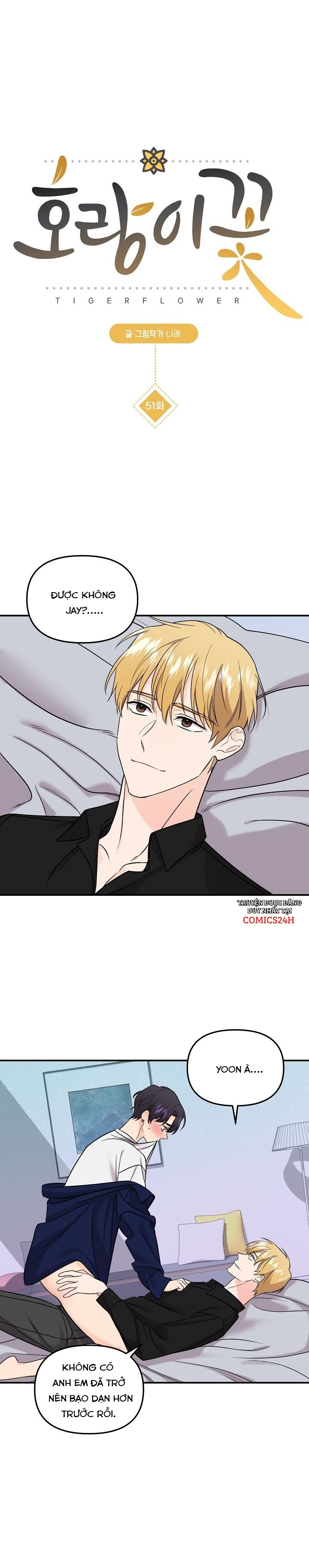 hoa ly hổ chapter 51 2