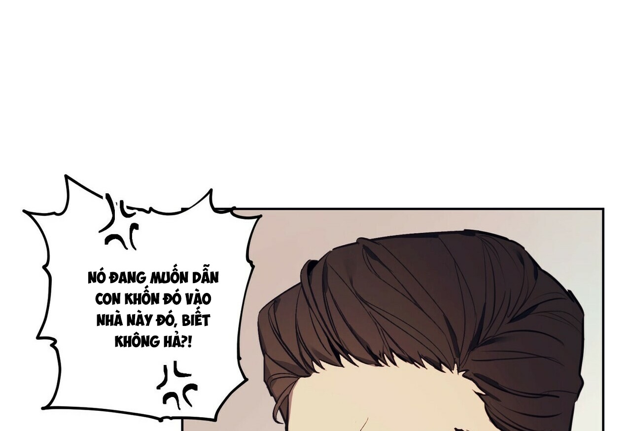 chàng dâu nhà họ kang chapter 1 33