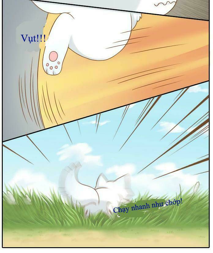 tiểu hồ ly vs tiểu hóa thượng chapter 9 17