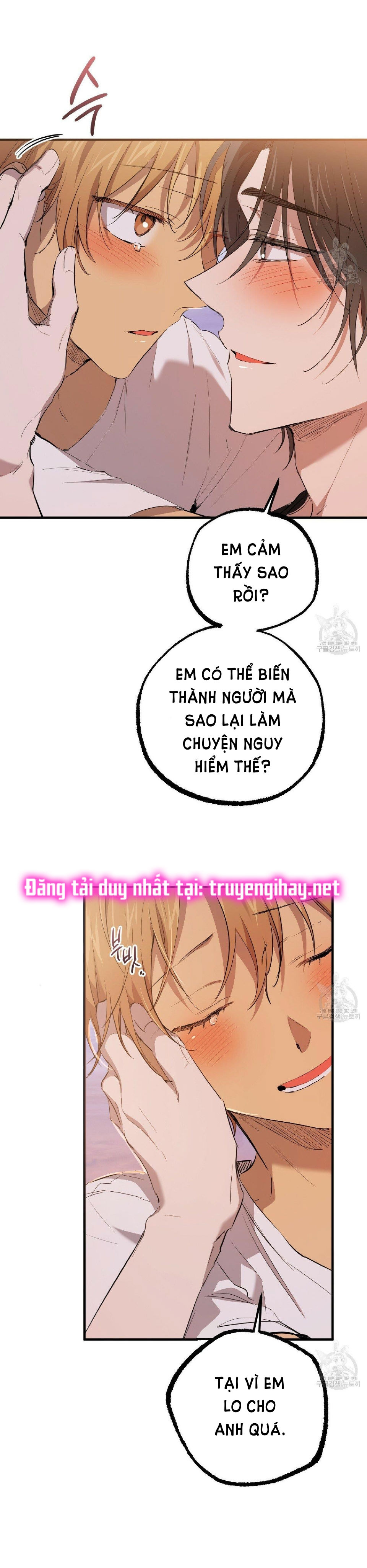 những chú thỏ của hapypy chapter 51.1 7