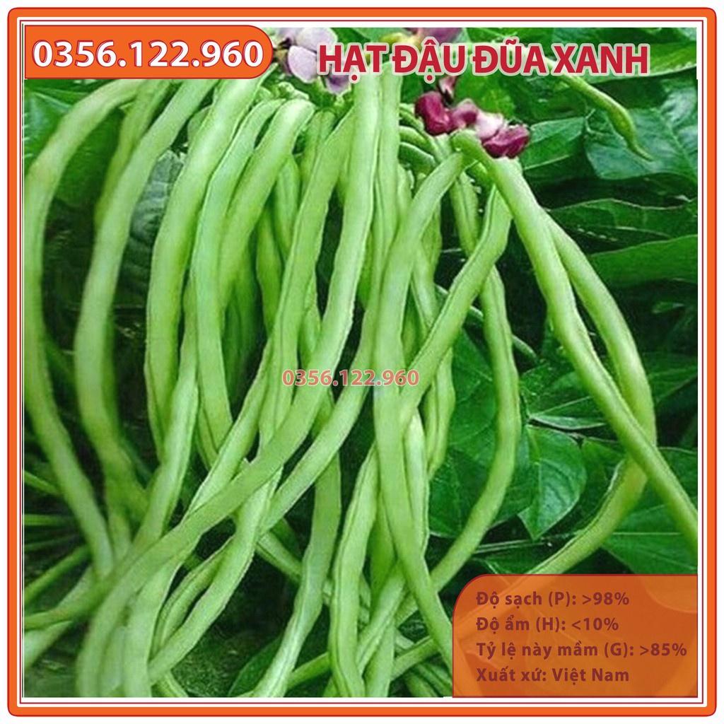 Hạt giống đậu đũa xanh cao sản F1 - gói 20g