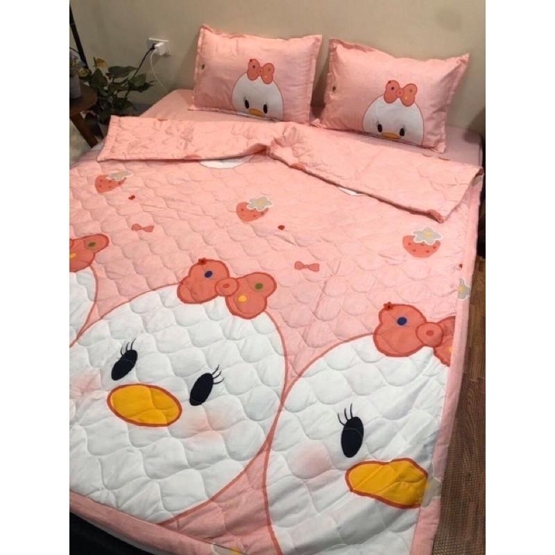 set ga + 2 vỏ gối poly cotton m6/m8( được chọn mẫu )