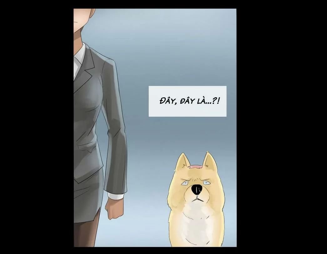 một con chó chapter 32 13