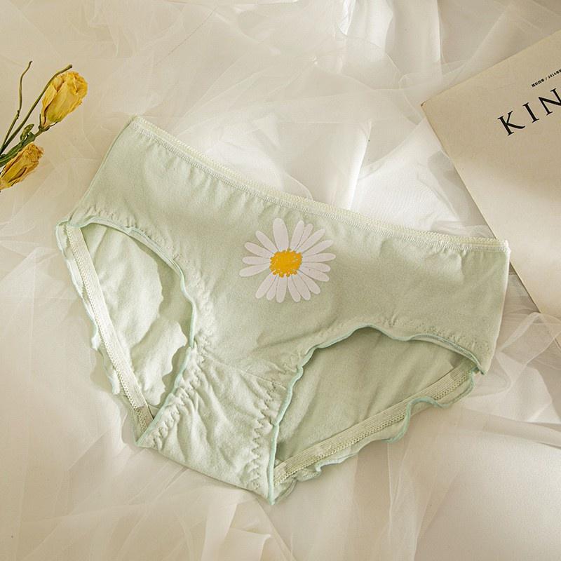 Quần Lót Nữ Cotton Cúc Họa Mi Thời Trang Ngang Eo . Hàng Loại Đẹp.