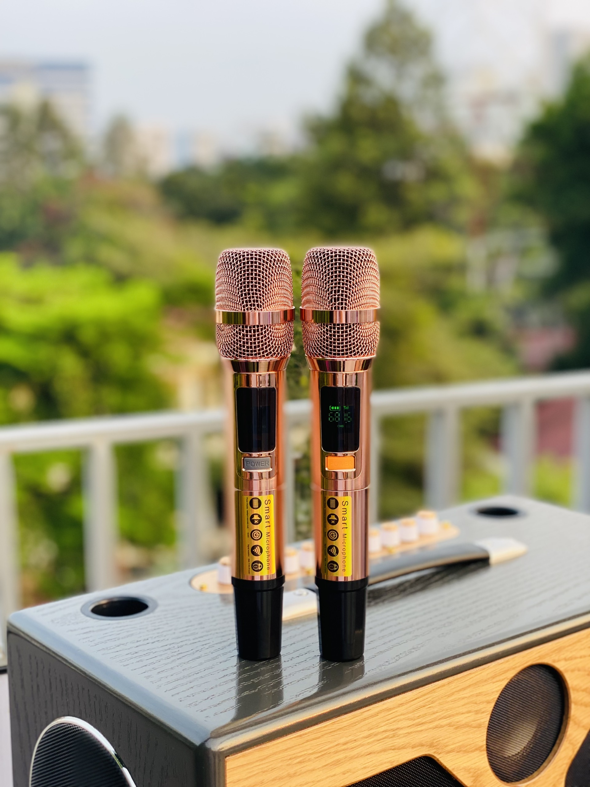 [ Hàng Chính Hãng Giá Tốt ] Loa Karaoke Xách Tay Full Gỗ Mới Nhất 2024 - MTMAX DK379Pro - 6 Loa 3 Đường Tiếng Công Suất Lớn 550W, Bass Đôi 2 Tấc, Âm Thanh Mạnh Mẽ, Đi Kèm 2 Micro Cao Cấp, Bảo Hành 12 Tháng