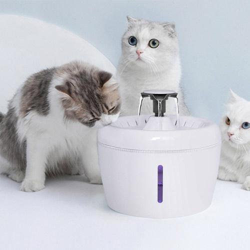Máy uống nước tự động cho chó mèo (Có đài phun)