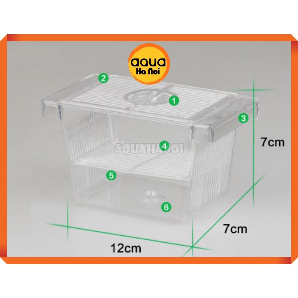 Lồng dưỡng cá tép đẻ mica - cỡ nhỏ 12*7*7 cm - lồng tách cá tép sinh sản - dưỡng cá bệnh - có 2 ngăn cách ly