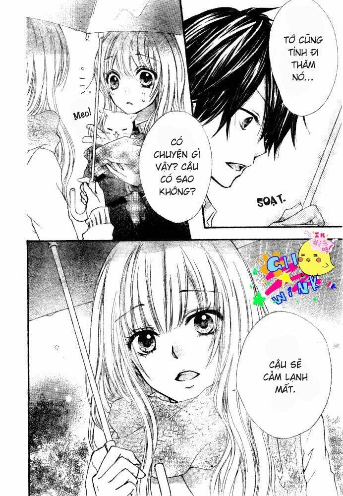 tình yêu của hiyo chapter 5 5